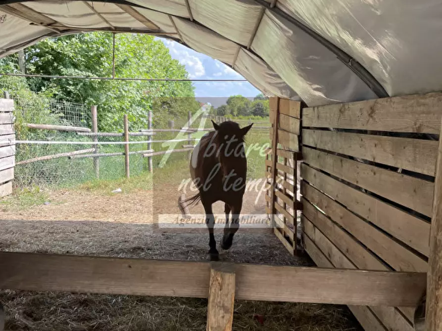 Immagine 26 di Villa in vendita  in CAMPO SAN MARTINO a Campo San Martino