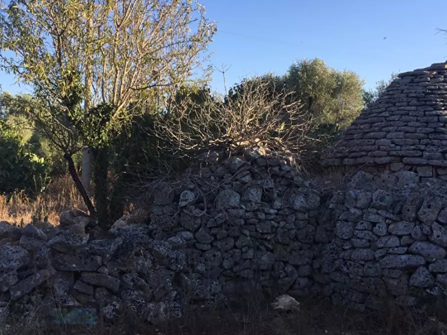 Immagine 6 di Rustico / casale in vendita  in Contrada Madonna Piccola a Ceglie Messapico