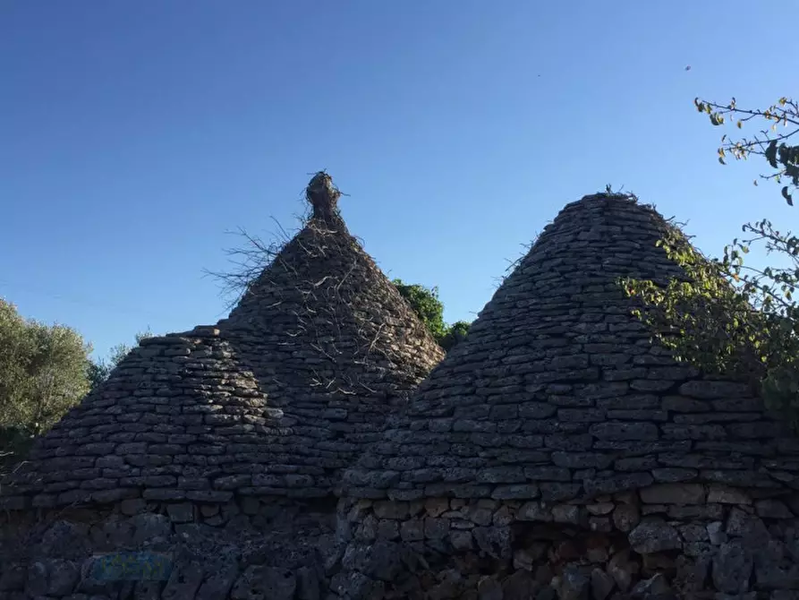 Immagine 7 di Rustico / casale in vendita  in Contrada Madonna Piccola a Ceglie Messapico