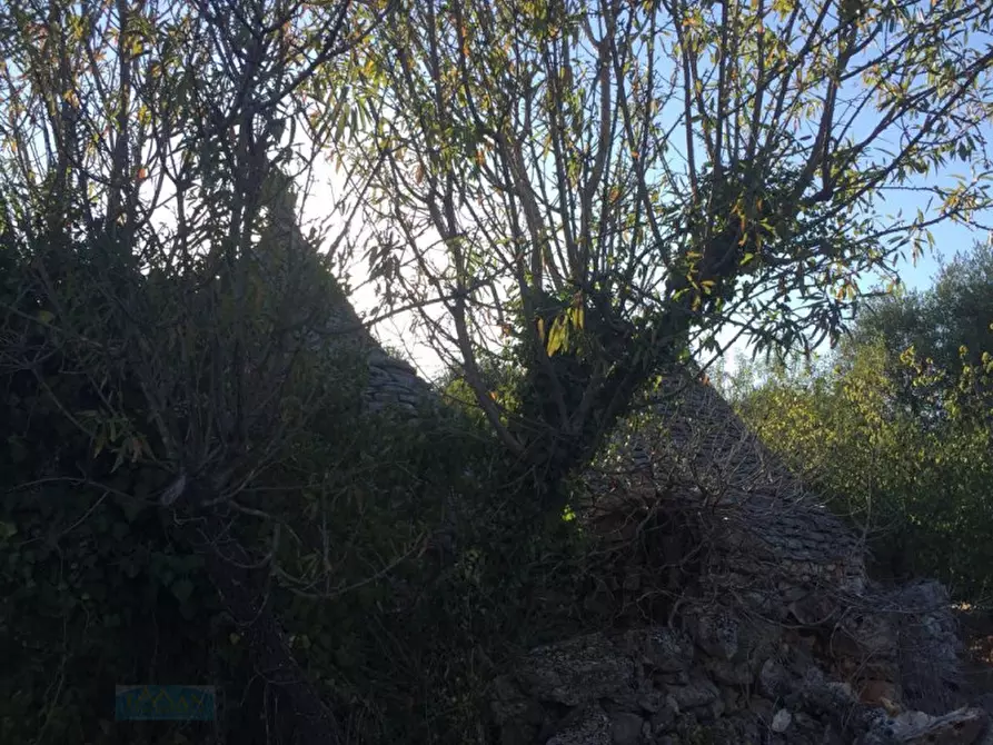 Immagine 8 di Rustico / casale in vendita  in Contrada Madonna Piccola a Ceglie Messapico