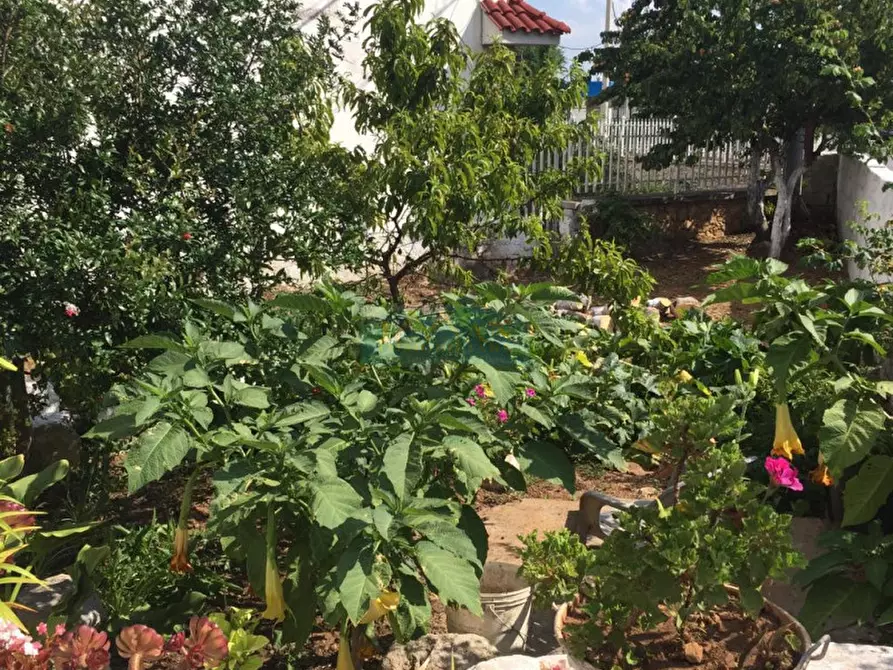 Immagine 14 di Casa indipendente in vendita  in Via Sant'Aurelia a Ceglie Messapico