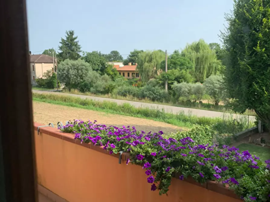 Immagine 29 di Villa in vendita  a San Giorgio Delle Pertiche