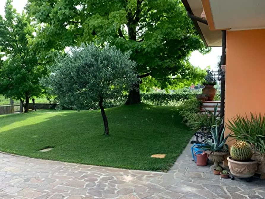 Immagine 34 di Villa in vendita  a San Giorgio Delle Pertiche