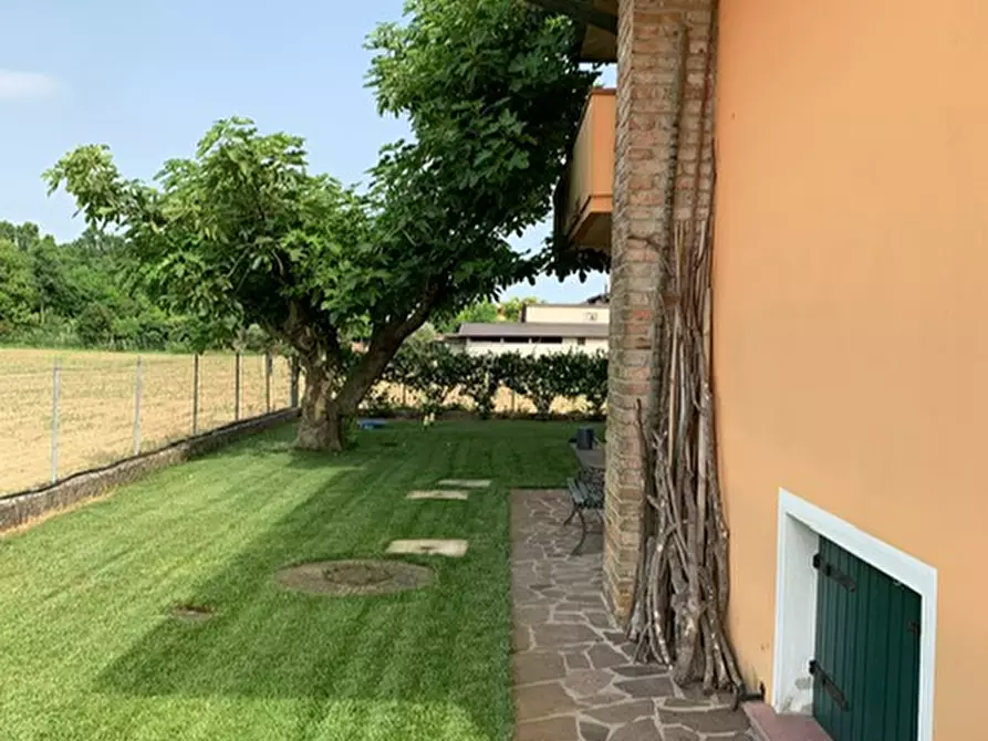 Immagine 37 di Villa in vendita  a San Giorgio Delle Pertiche
