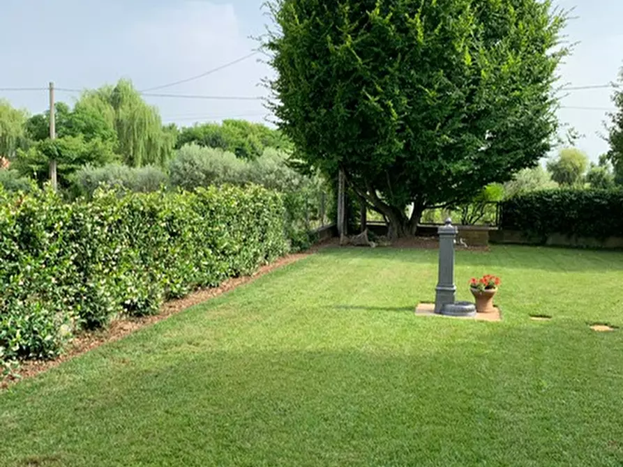 Immagine 39 di Villa in vendita  a San Giorgio Delle Pertiche