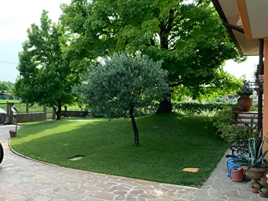 Immagine 40 di Villa in vendita  a San Giorgio Delle Pertiche