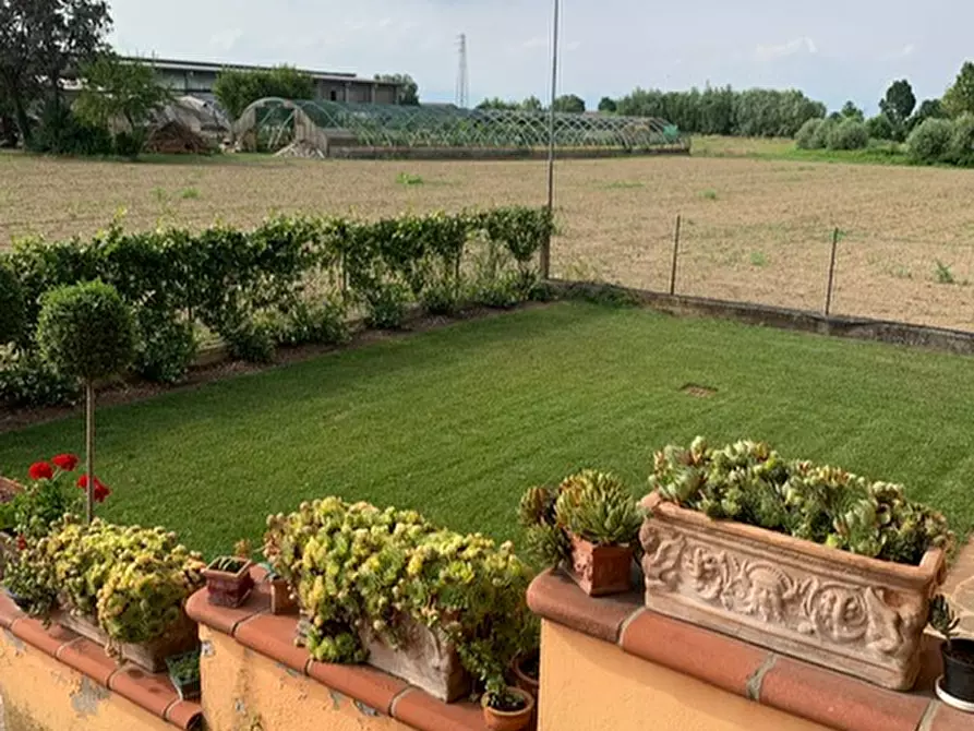 Immagine 41 di Villa in vendita  a San Giorgio Delle Pertiche