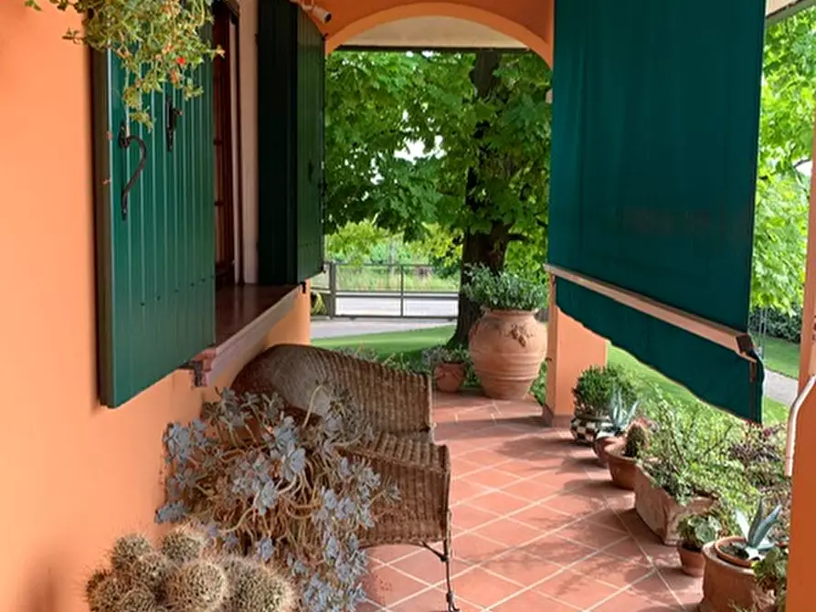 Immagine 44 di Villa in vendita  a San Giorgio Delle Pertiche