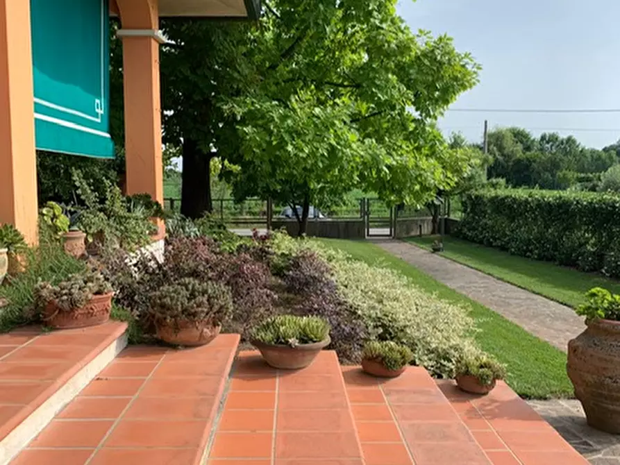 Immagine 45 di Villa in vendita  a San Giorgio Delle Pertiche