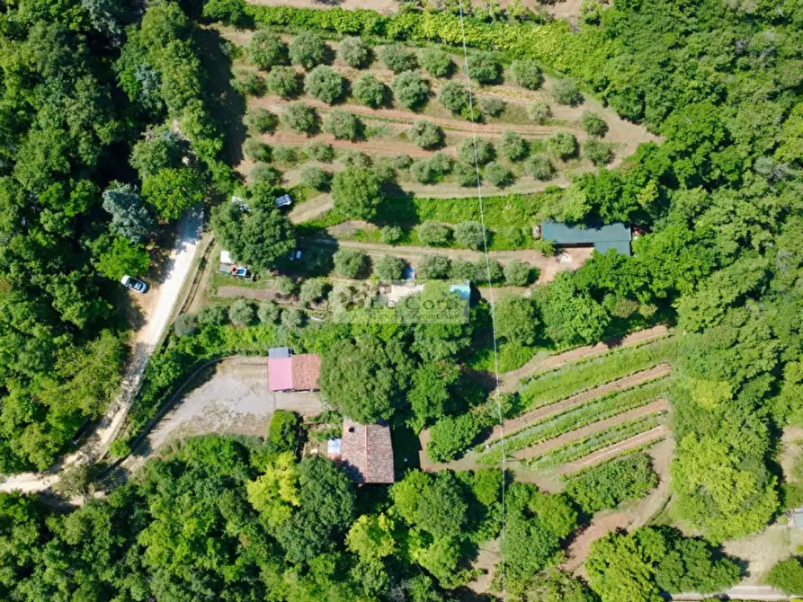 Immagine 3 di Rustico / casale in vendita  a Val Liona