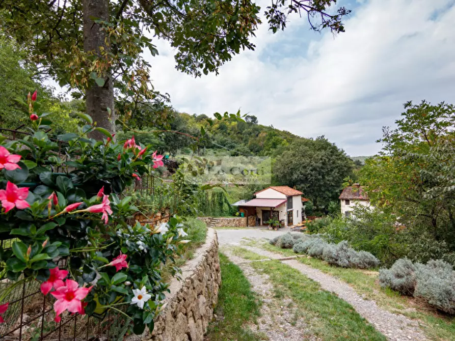 Immagine 4 di Rustico / casale in vendita  a Val Liona