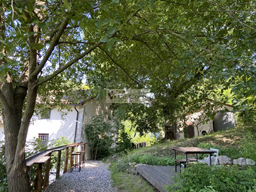 Immagine 6 di Rustico / casale in vendita  a Val Liona