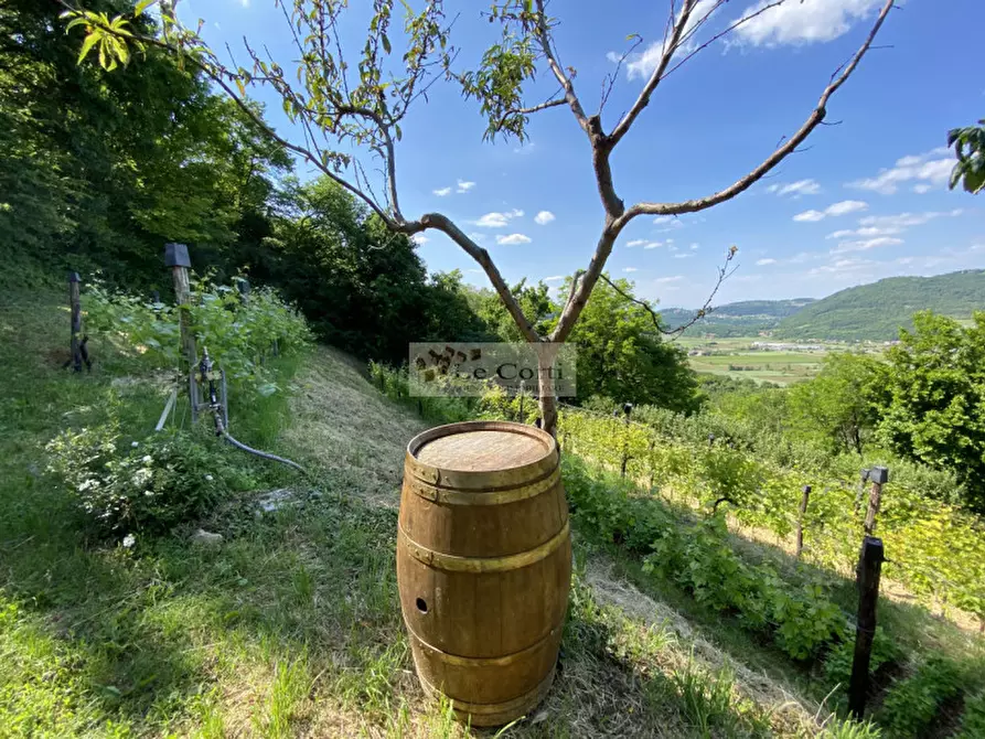 Immagine 7 di Rustico / casale in vendita  a Val Liona