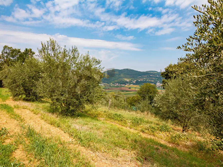 Immagine 21 di Rustico / casale in vendita  a Val Liona