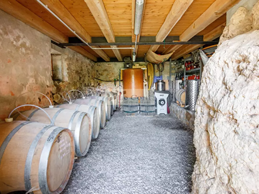 Immagine 15 di Rustico / casale in vendita  a Val Liona