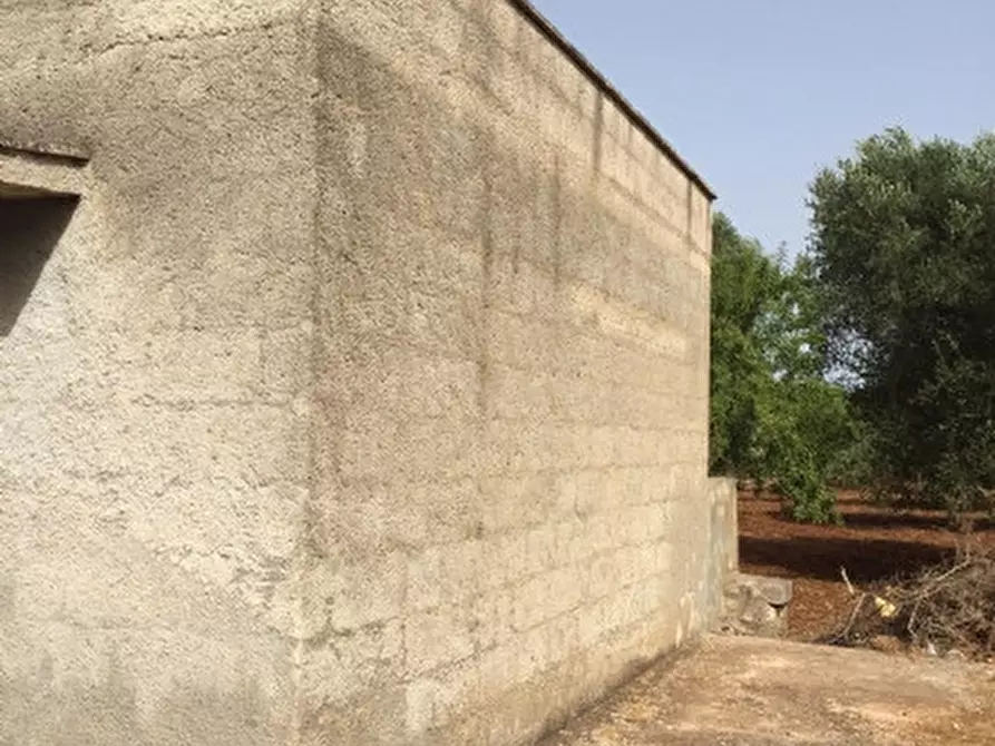 Immagine 2 di Rustico / casale in vendita  in sp22 a Ceglie Messapico