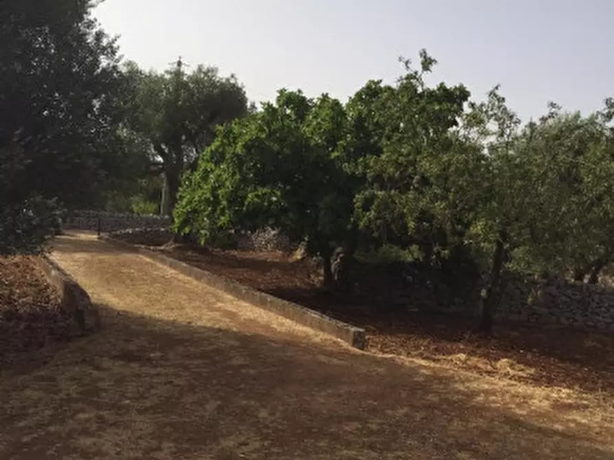 Immagine 6 di Rustico / casale in vendita  in sp22 a Ceglie Messapico