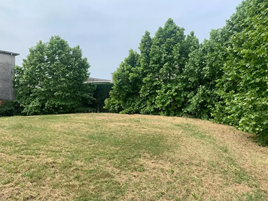 Immagine 3 di Rustico / casale in vendita  a Cervarese Santa Croce