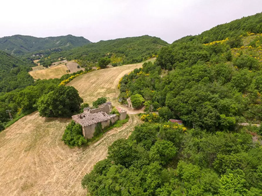 Immagine 2 di Rustico / casale in vendita  in Località Campanelle a Carpegna