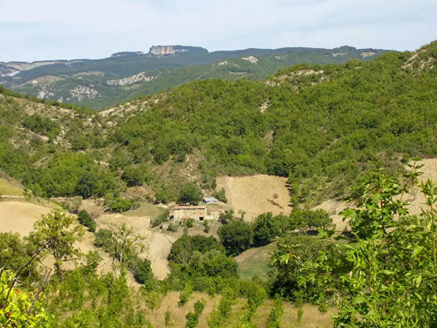 Immagine 3 di Rustico / casale in vendita  in Località Campanelle a Carpegna