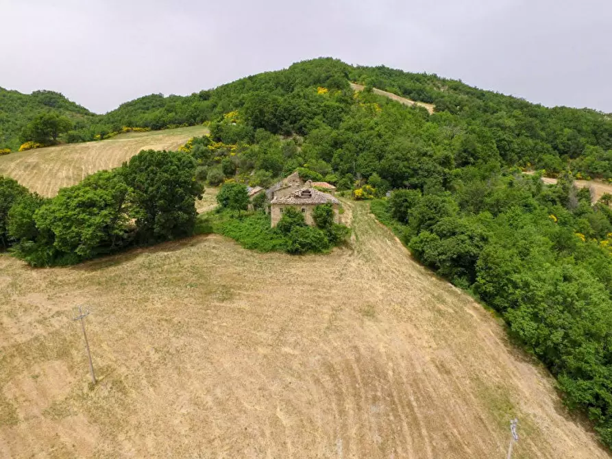 Immagine 4 di Rustico / casale in vendita  in Località Campanelle a Carpegna