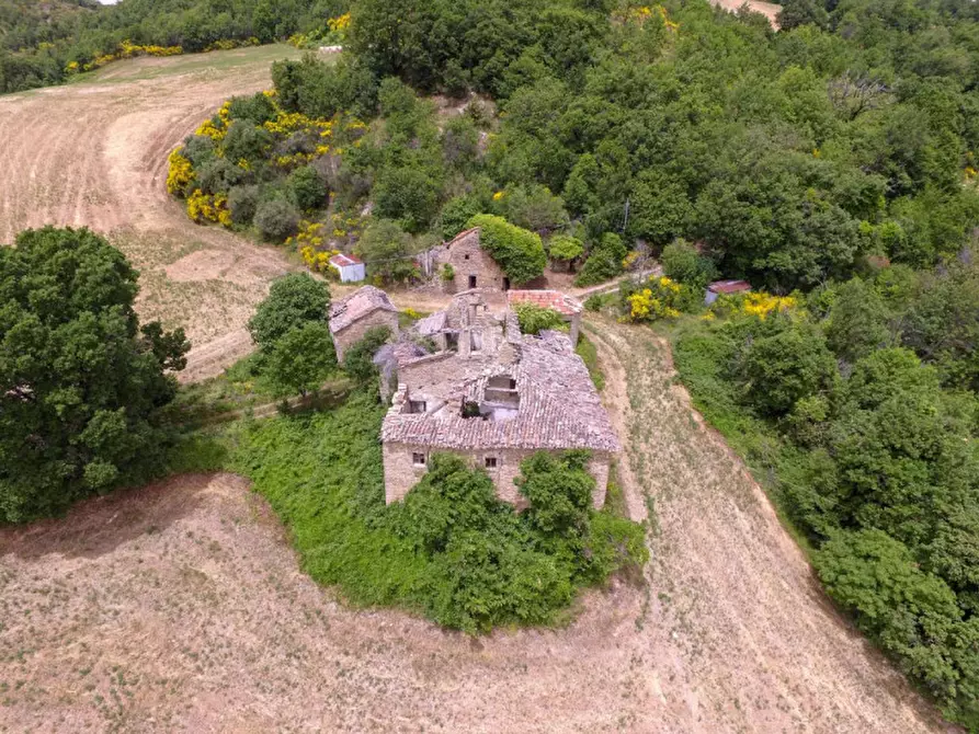 Immagine 5 di Rustico / casale in vendita  in Località Campanelle a Carpegna