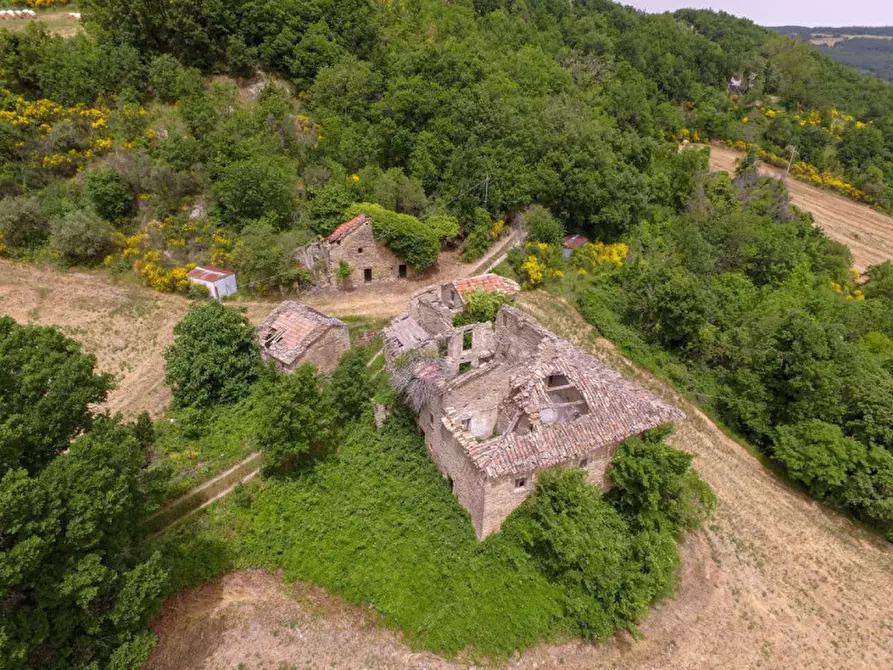 Immagine 6 di Rustico / casale in vendita  in Località Campanelle a Carpegna