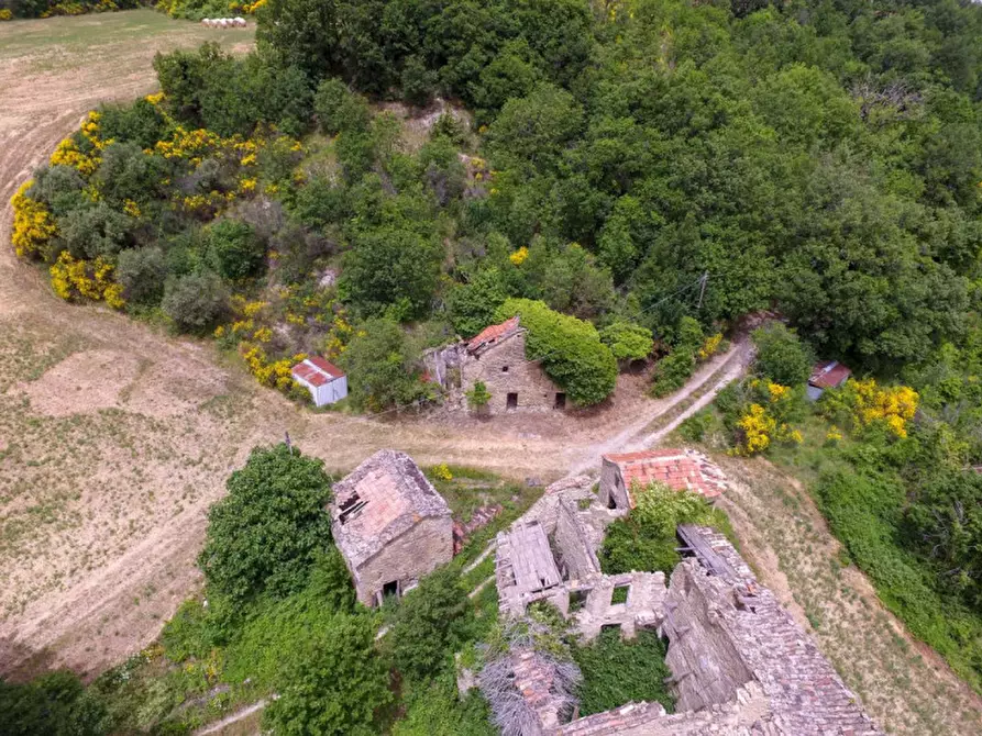 Immagine 7 di Rustico / casale in vendita  in Località Campanelle a Carpegna