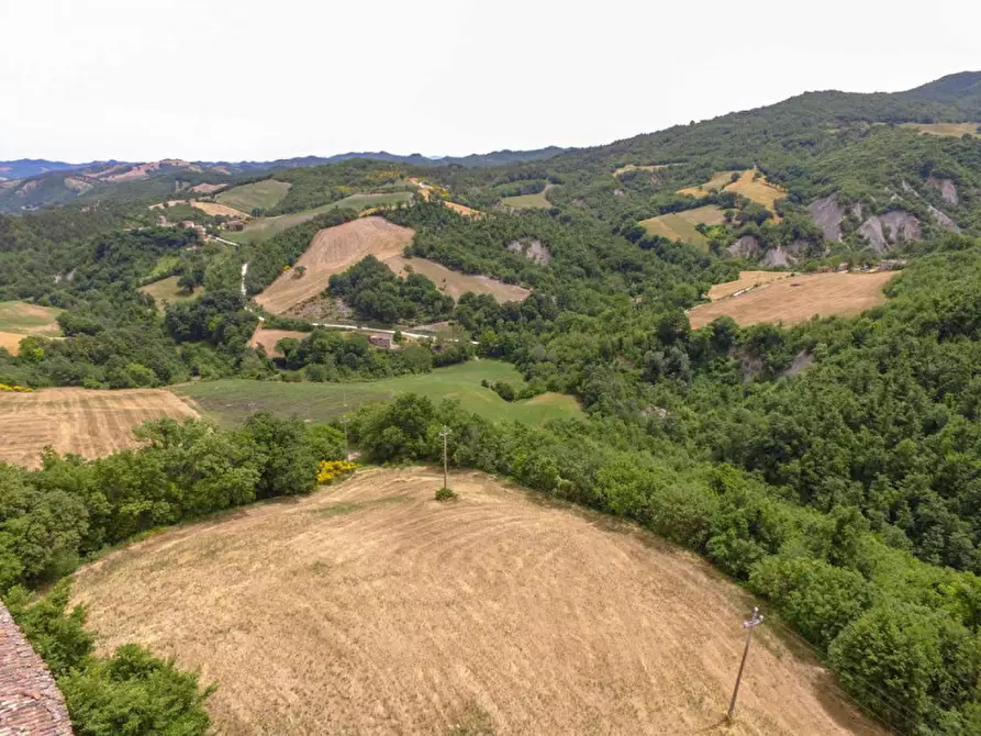 Immagine 8 di Rustico / casale in vendita  in Località Campanelle a Carpegna