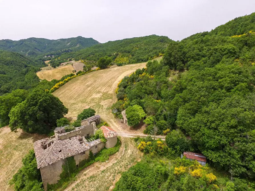 Immagine 11 di Rustico / casale in vendita  in Località Campanelle a Carpegna