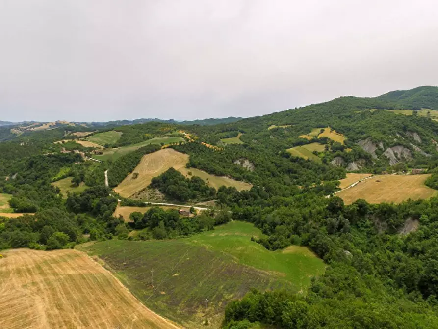 Immagine 12 di Rustico / casale in vendita  in Località Campanelle a Carpegna