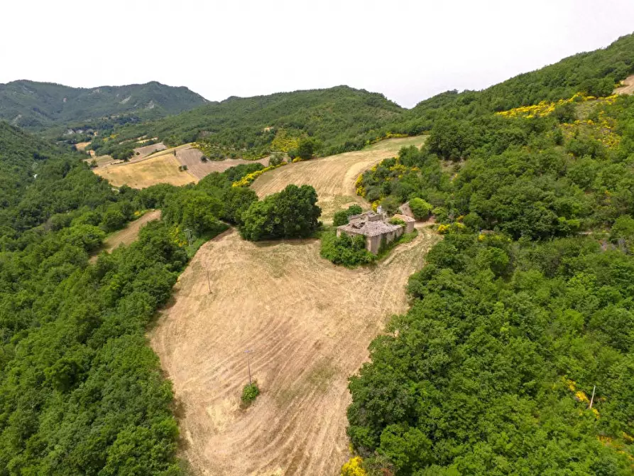 Immagine 13 di Rustico / casale in vendita  in Località Campanelle a Carpegna