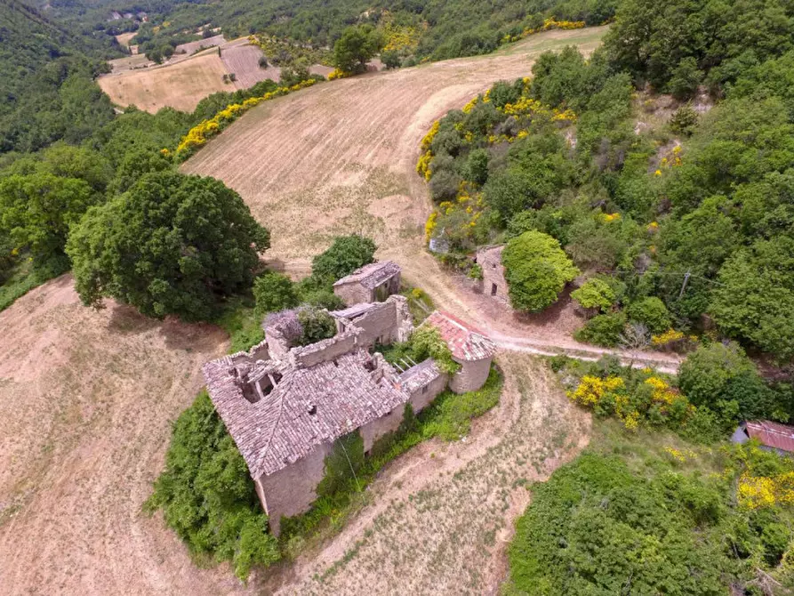 Immagine 14 di Rustico / casale in vendita  in Località Campanelle a Carpegna