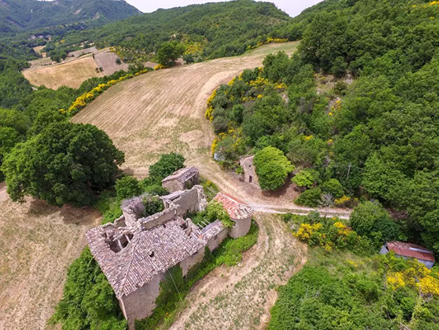 Immagine 15 di Rustico / casale in vendita  in Località Campanelle a Carpegna