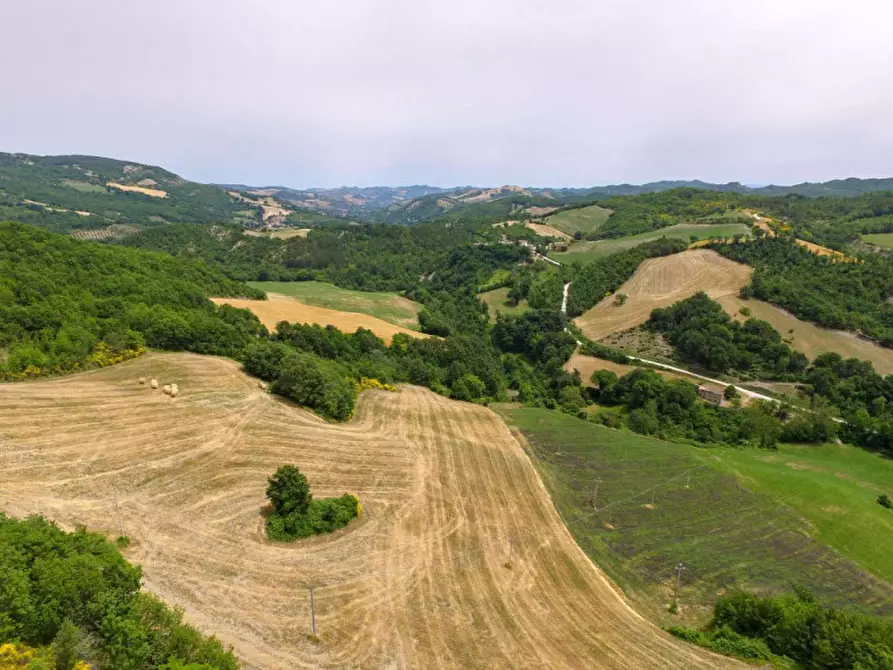 Immagine 16 di Rustico / casale in vendita  in Località Campanelle a Carpegna
