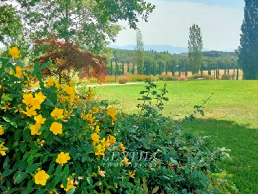 Immagine 5 di Agriturismo in vendita  a Arezzo