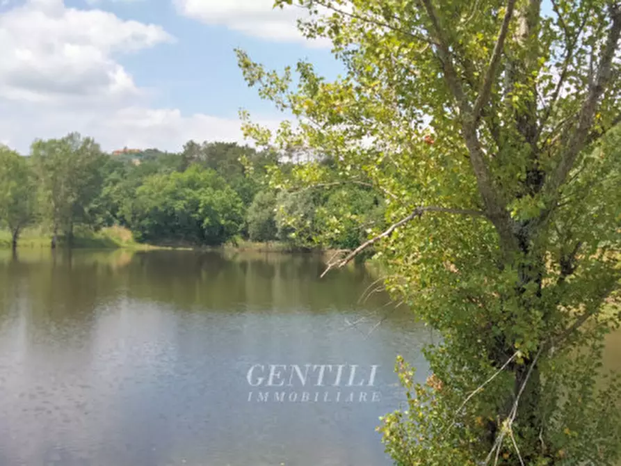 Immagine 15 di Agriturismo in vendita  a Arezzo