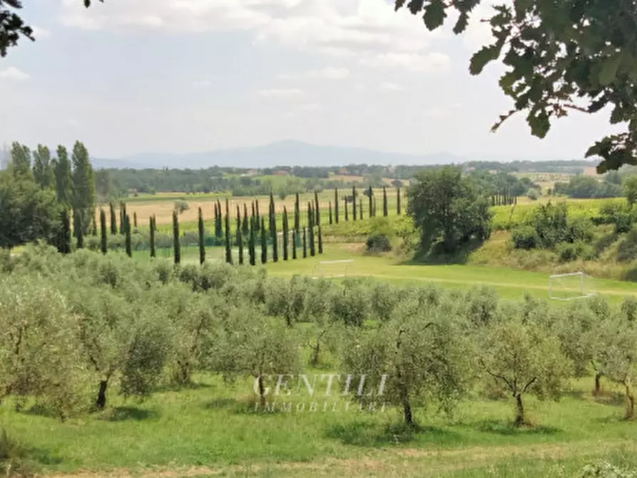 Immagine 16 di Agriturismo in vendita  a Arezzo