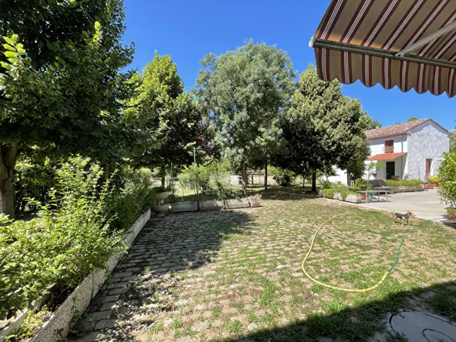 Immagine 29 di Rustico / casale in vendita  a San Benedetto Po