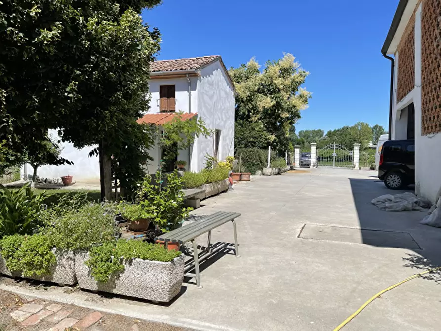 Immagine 30 di Rustico / casale in vendita  a San Benedetto Po