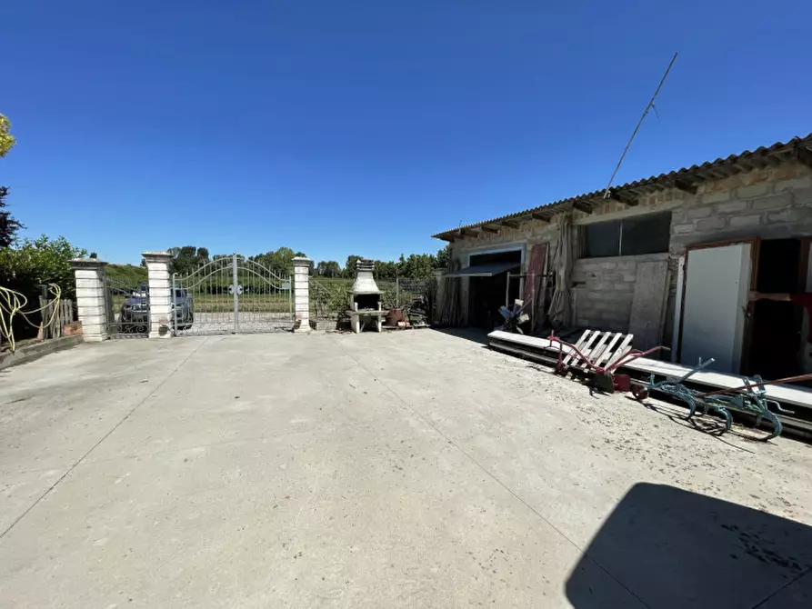 Immagine 31 di Rustico / casale in vendita  a San Benedetto Po