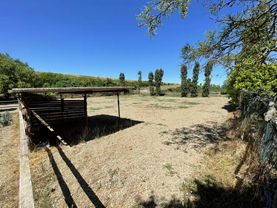 Immagine 32 di Rustico / casale in vendita  a San Benedetto Po