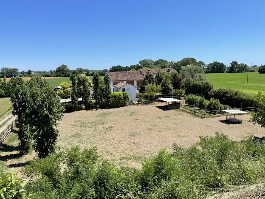 Immagine 34 di Rustico / casale in vendita  a San Benedetto Po