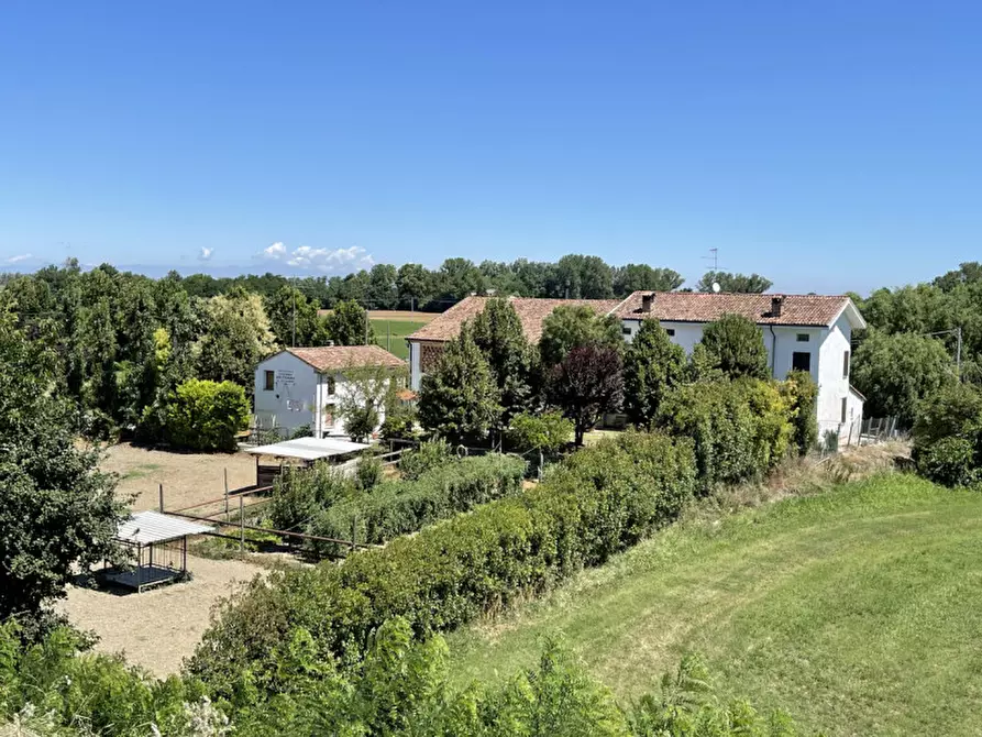 Immagine 35 di Rustico / casale in vendita  a San Benedetto Po