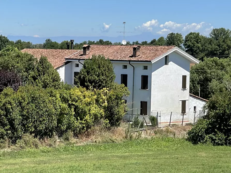 Immagine 37 di Rustico / casale in vendita  a San Benedetto Po