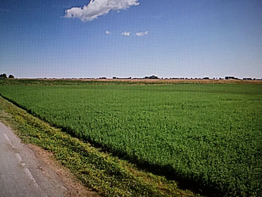 Immagine 5 di Terreno in vendita  in VAI MANDURA a Lagosanto