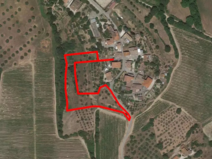 Immagine 1 di Terreno in vendita  in località Collesanto, N. snc a Magione