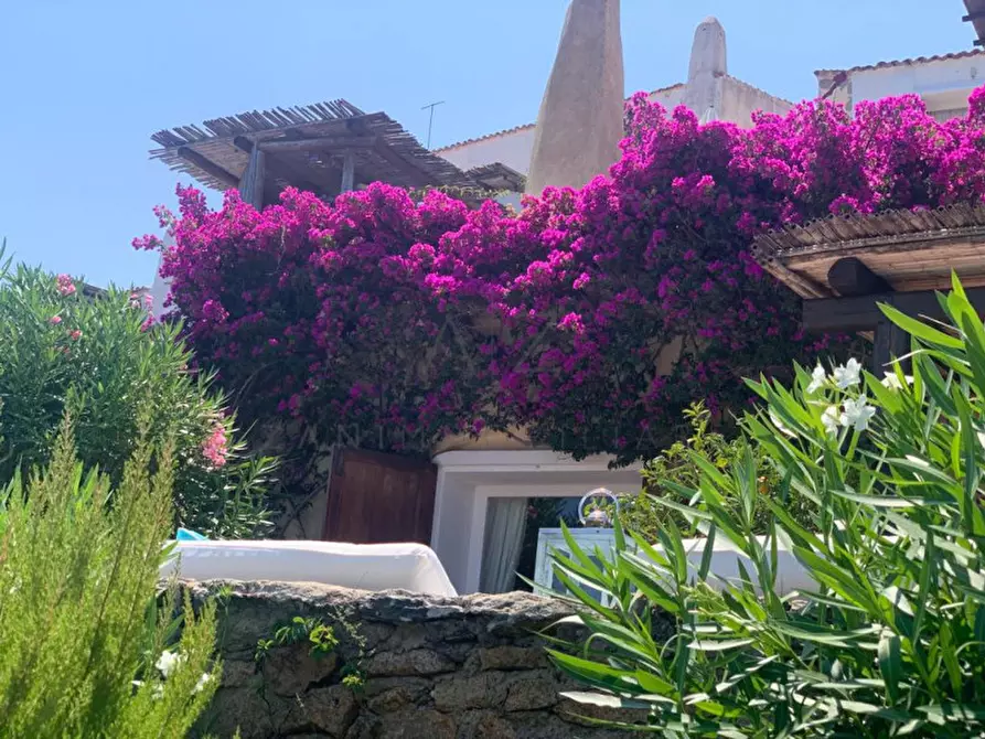 Immagine 1 di Appartamento in vendita  in porto cervo a Arzachena