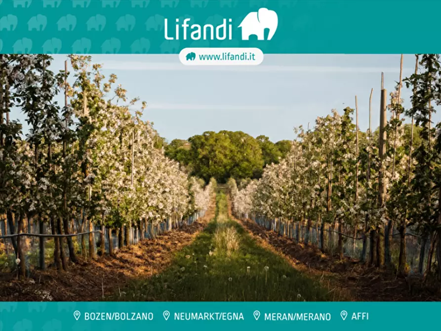 Immagine 1 di Terreno in vendita  a Borgo D'anaunia