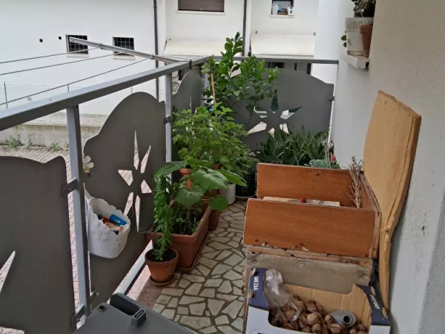 Immagine 9 di Appartamento in vendita  in Strada del Tormeno 69 a Vicenza